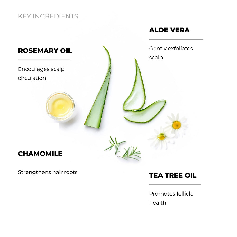 Herbal - Gentle Tea Tree Shampoo