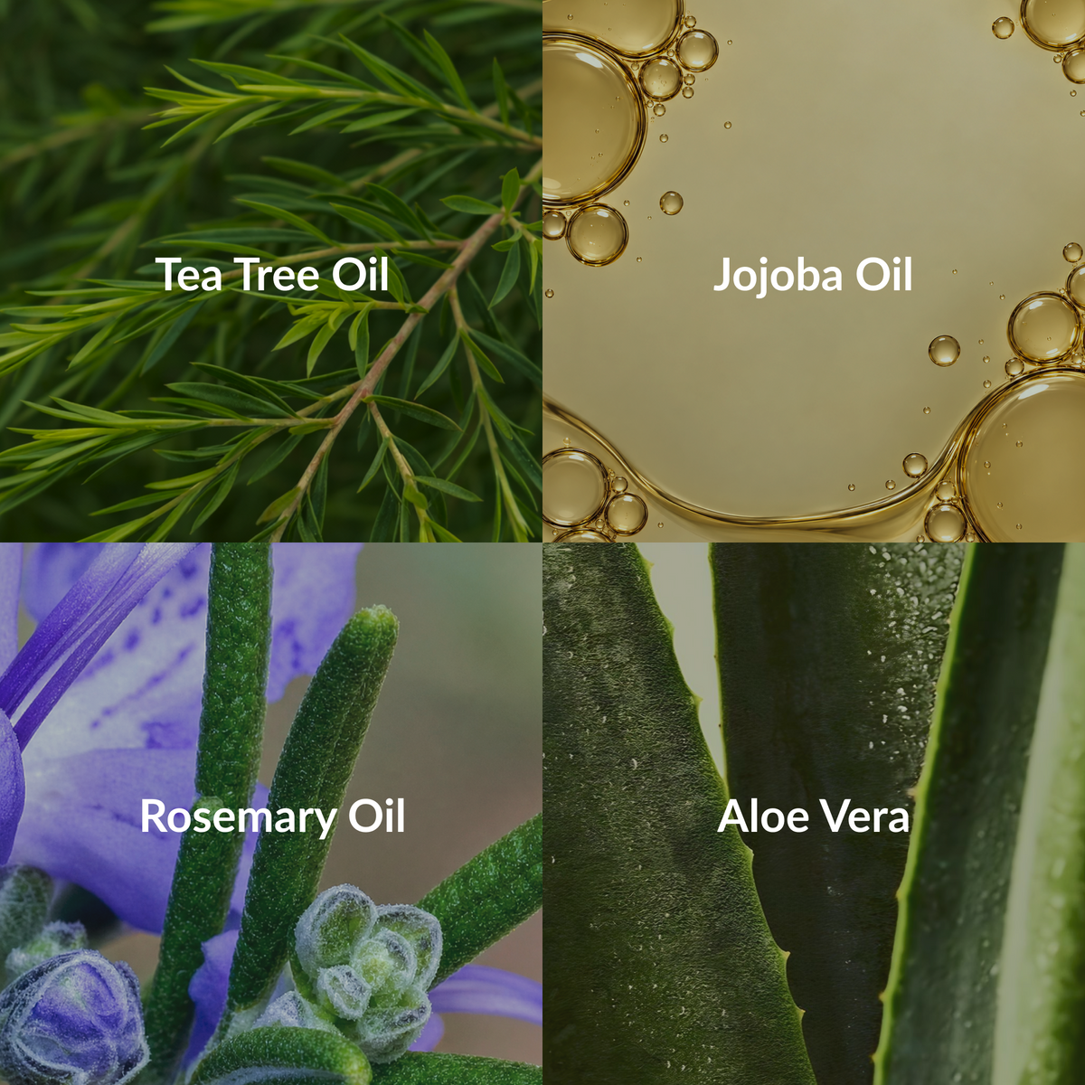 Herbal Hair Growth Shampoo