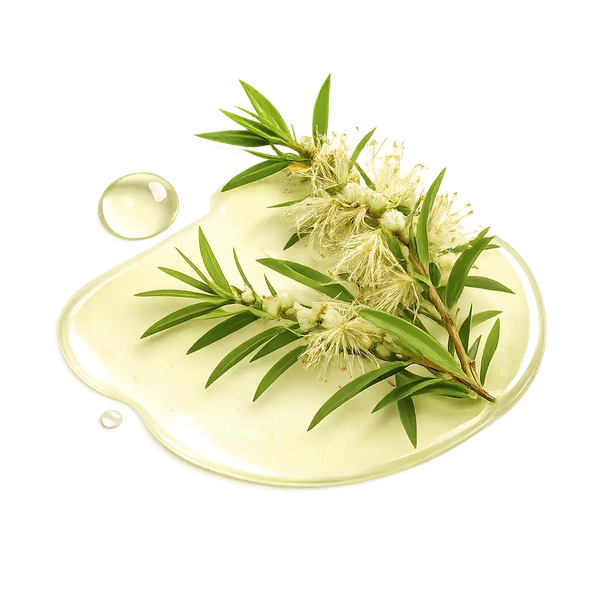 Tea Tree Oil