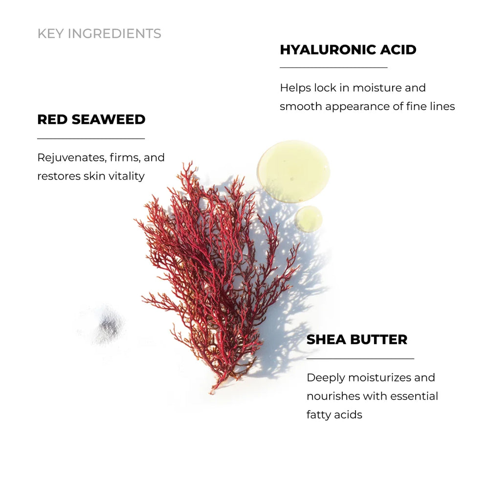 Gracilaria Face Cream Moisturizer with Hyaluronic Acid