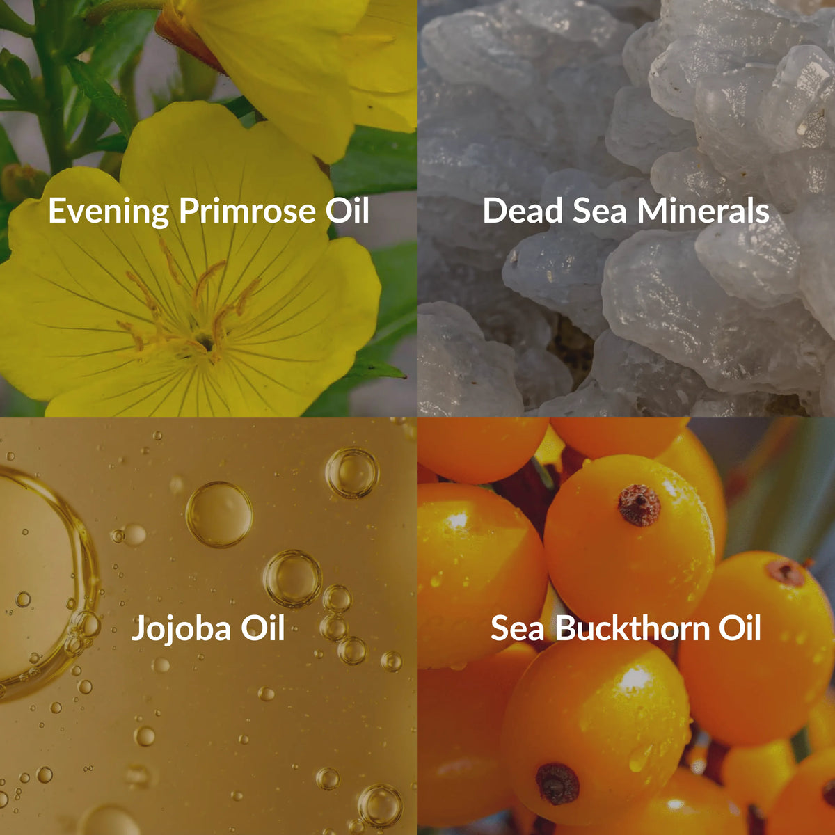 Moisturizing Body Oil for Dry Skin